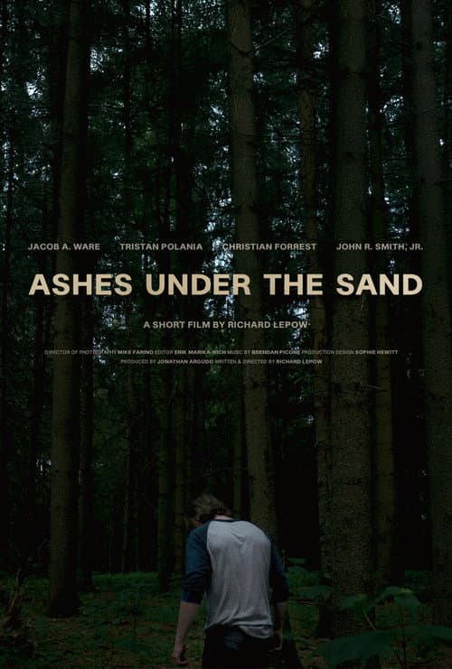 Póster de Ashes Under the Sand