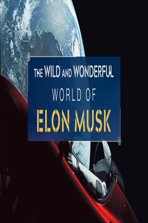 Póster de The Wild and Wonderful World of Elon Musk